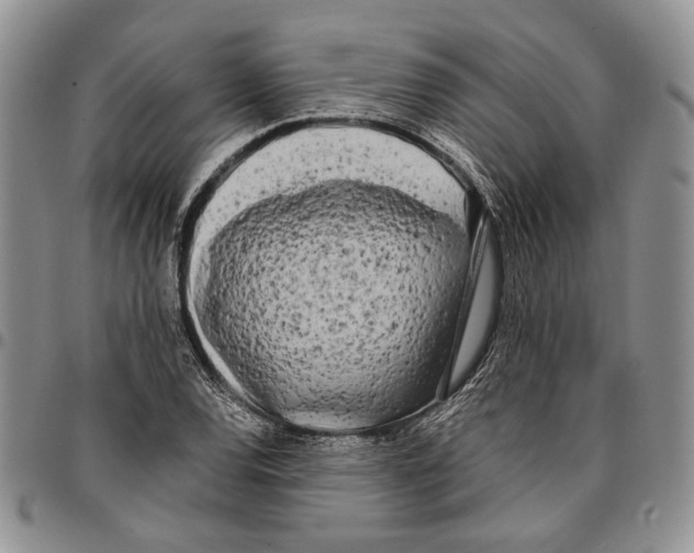 X0000096671120200803041215