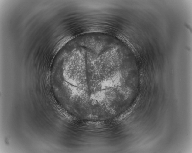 X0000096671121200803041215