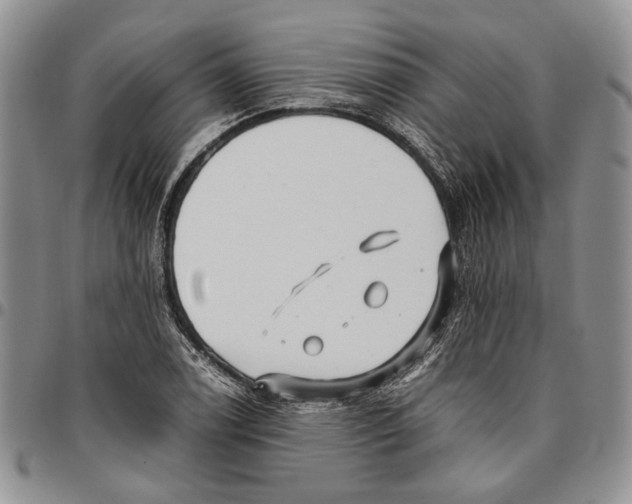 X0000096671122200803041215