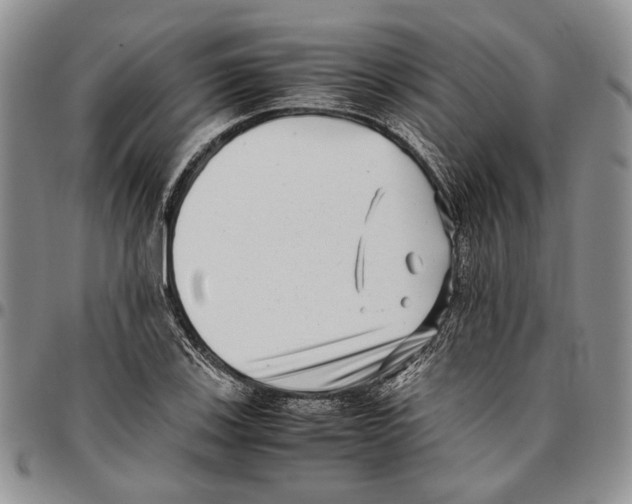 X0000096671123200803041215