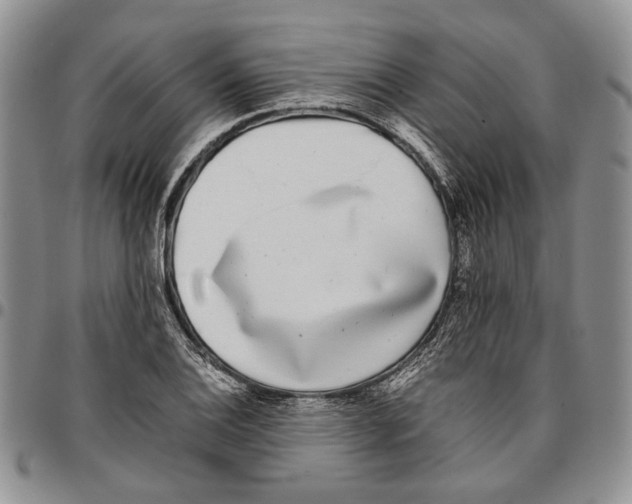 X0000096671124200803041215