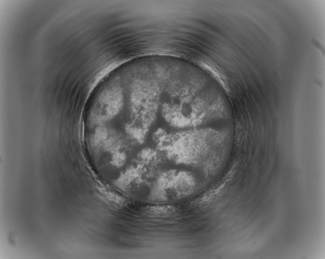 X0000096671125200803041215