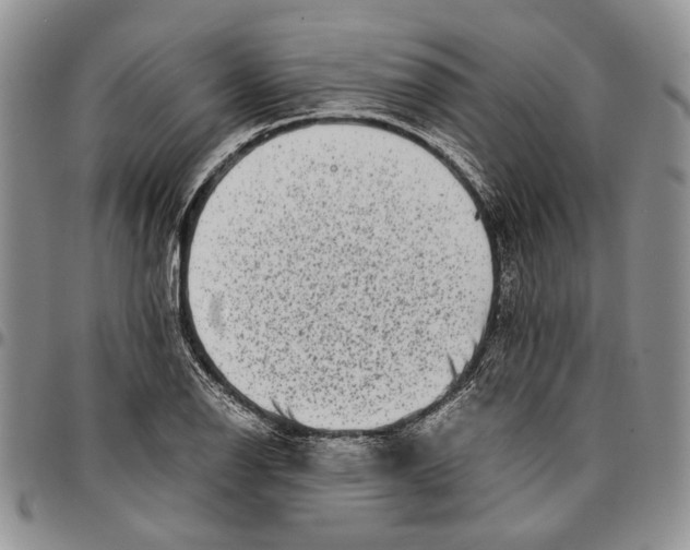 X0000096671126200803041215