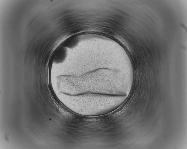 X0000096671127200803041215