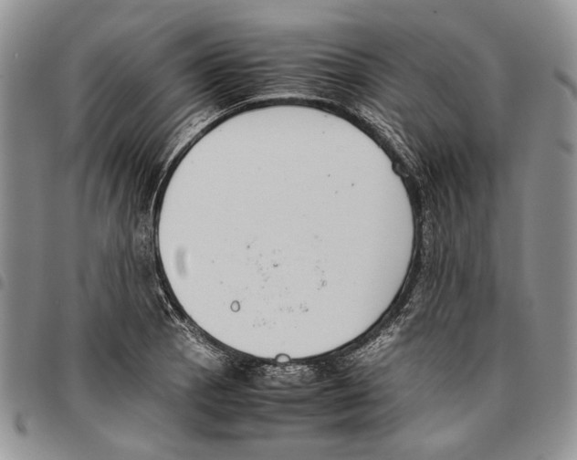 X0000096671129200803041215