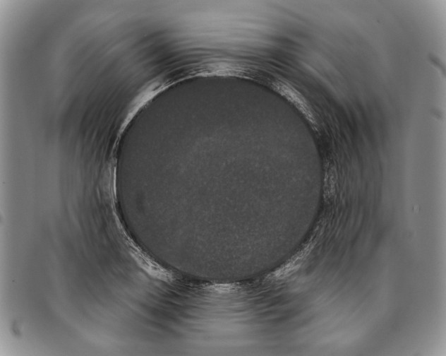 X0000096671130200803041215