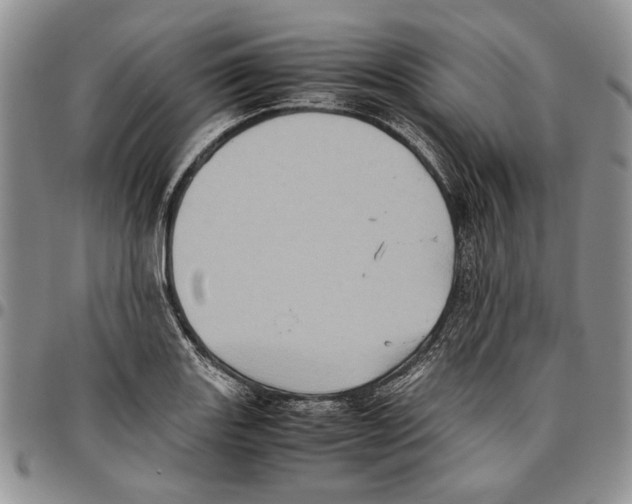 X0000096671131200803041215