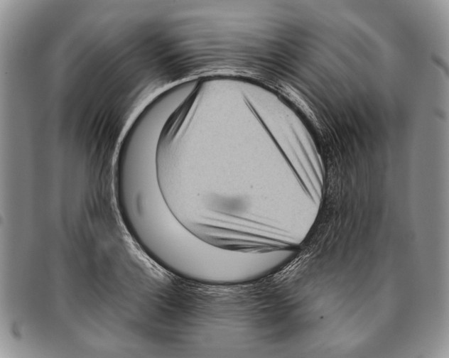 X0000096671132200803041215