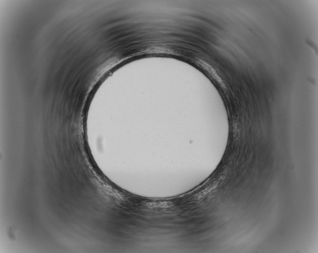 X0000096671133200803041215