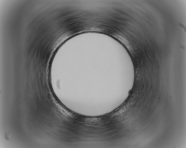 X0000096671135200803041215