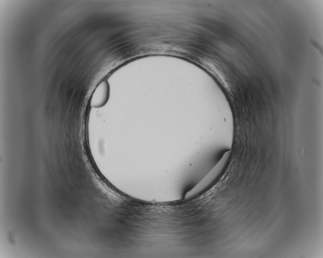 X0000096671136200803041215