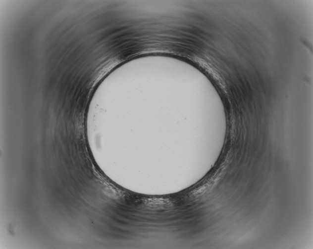 X0000096671137200803041215