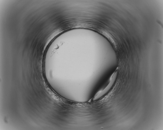 X0000096671138200803041215