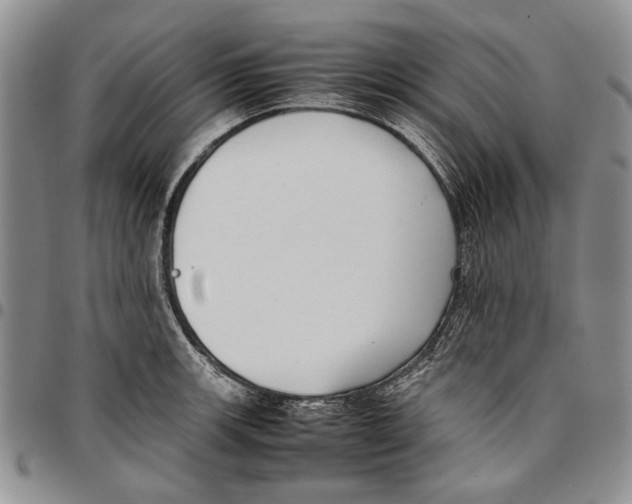 X0000096671139200803041215