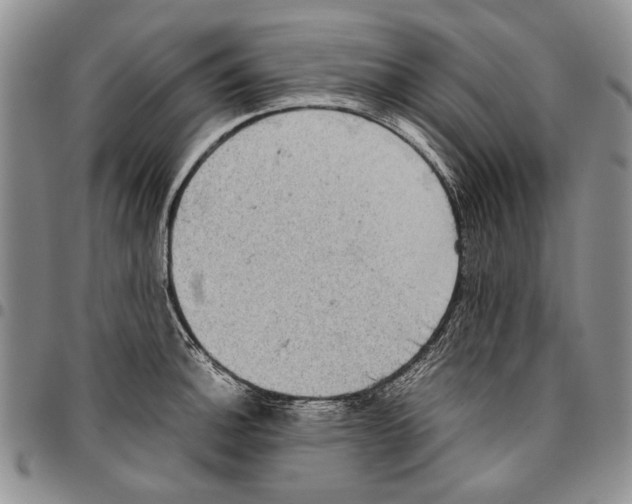 X0000096671140200803041215