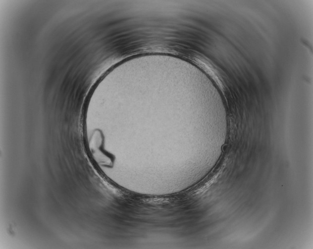 X0000096671141200803041215