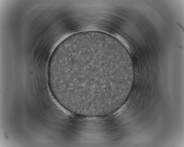 X0000096671142200803041215
