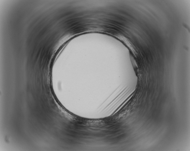 X0000096671143200803041215