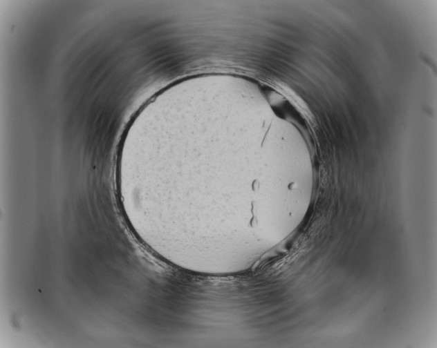 X0000096671144200803041215