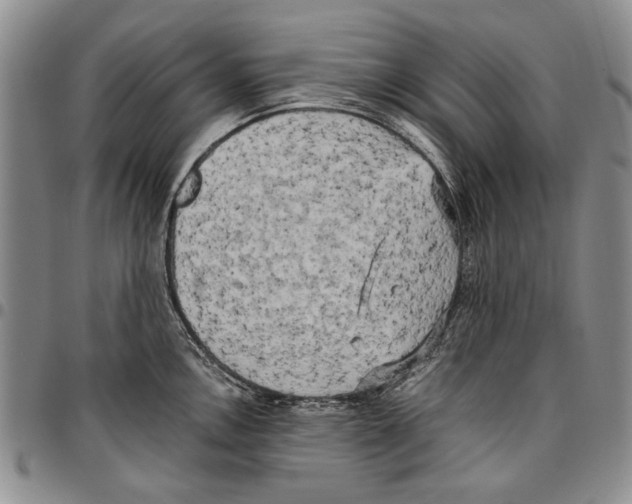 X0000096671146200803041215