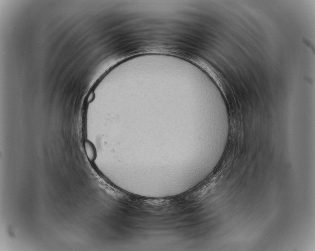 X0000096671147200803041215
