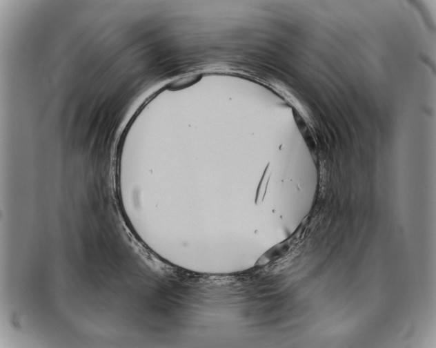X0000096671148200803041215