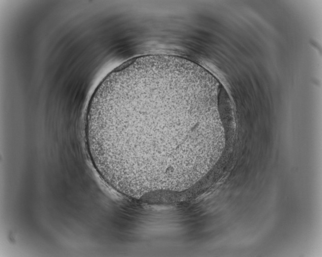 X0000096671152200803041215