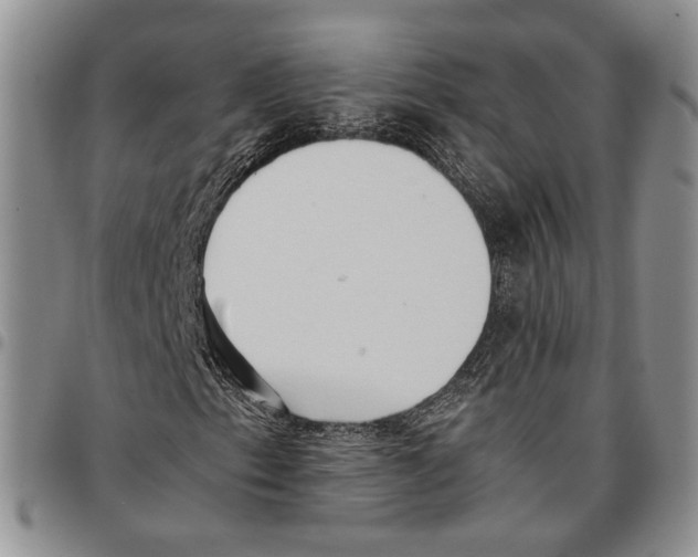 X0000096671153200803041215