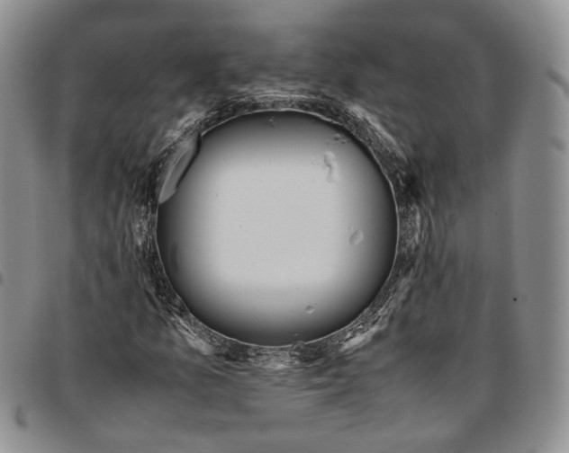 X0000096671157200803041215
