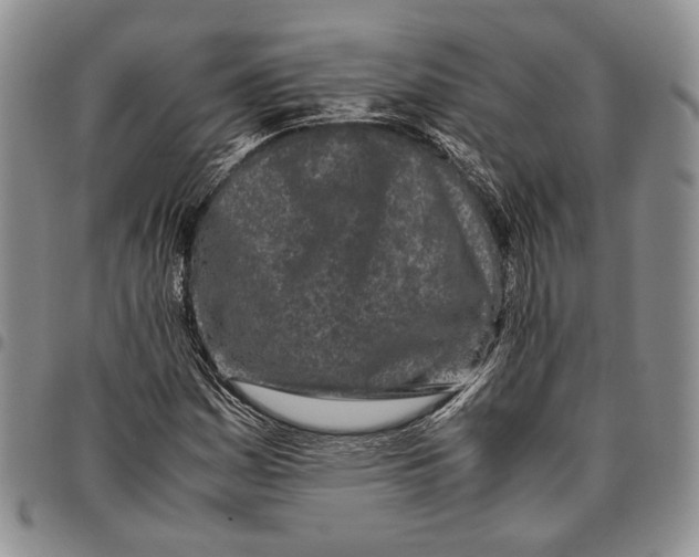X0000096671161200803041215