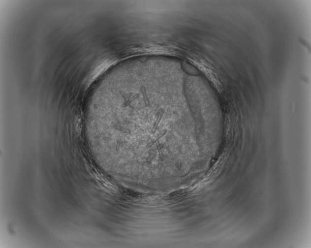 X0000096671163200803041215