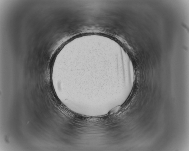 X0000096671167200803041215