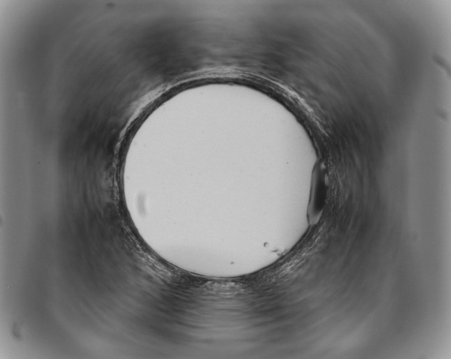 X0000096671168200803041215