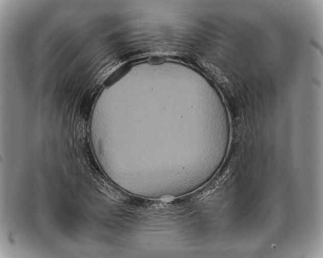 X0000096671169200803041215