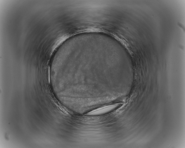 X0000096671171200803041215