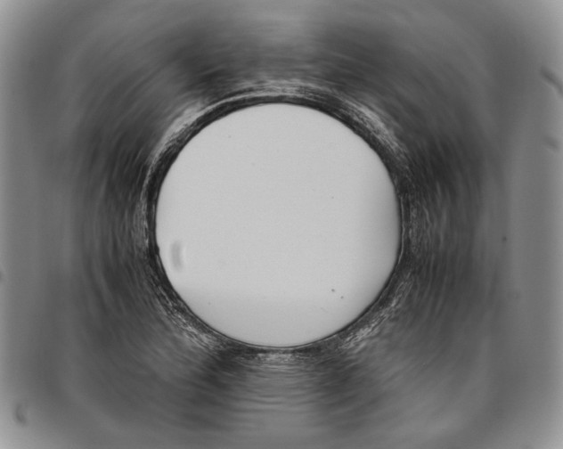 X0000096671172200803041215