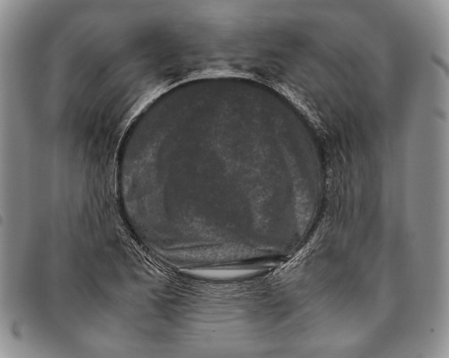 X0000096671173200803041215