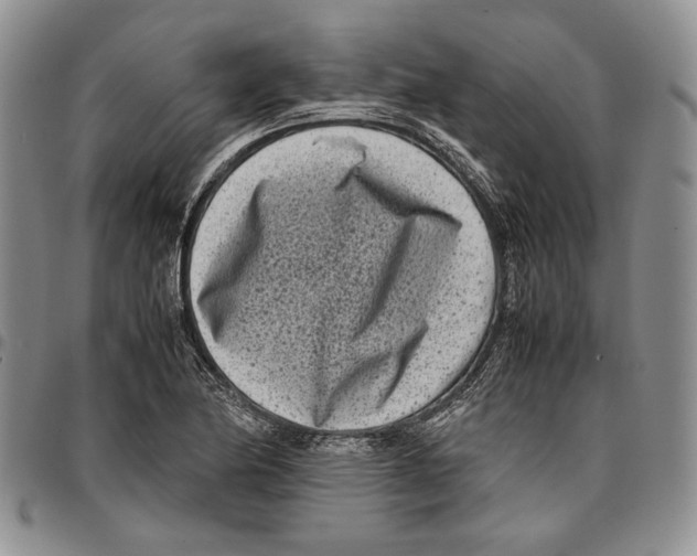 X0000096671174200803041215