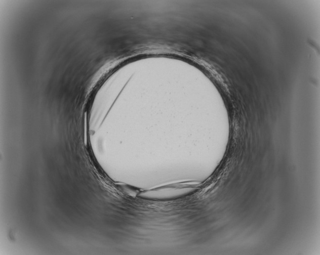 X0000096671175200803041215