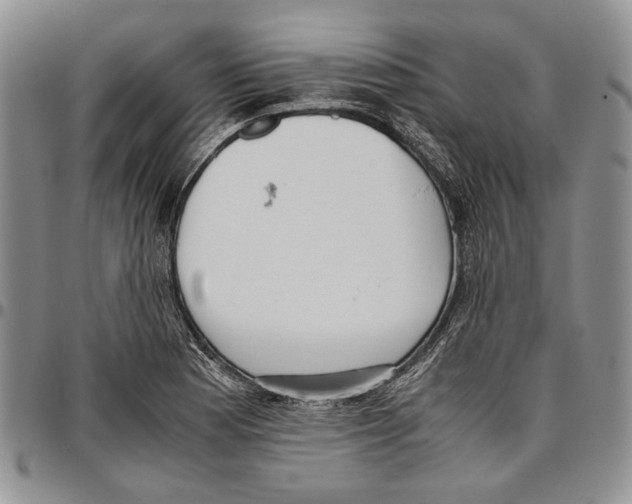 X0000096671177200803041215