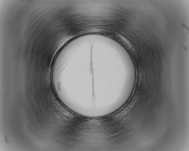 X0000096671178200803041215