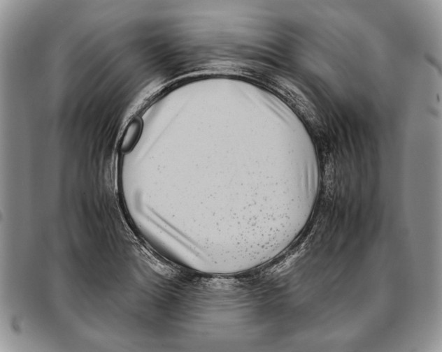 X0000096671180200803041215