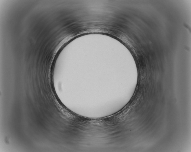 X0000096671181200803041215