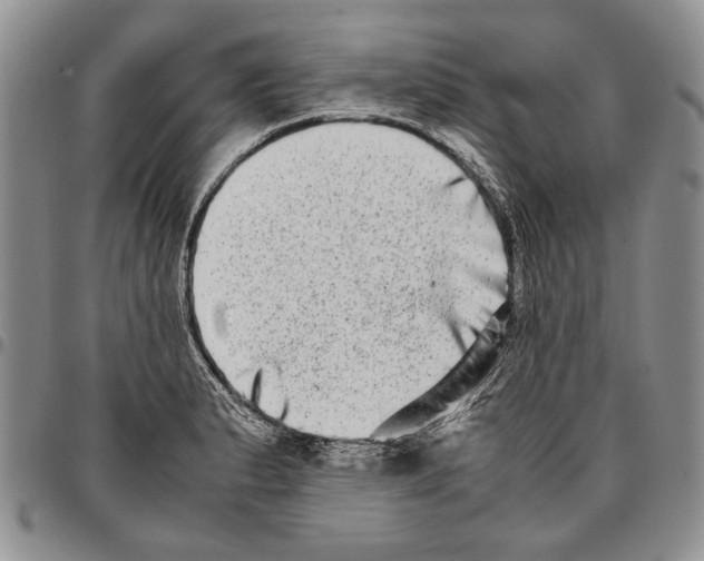 X0000096671183200803041214