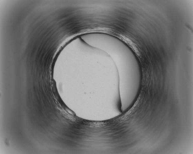 X0000096671184200803041214