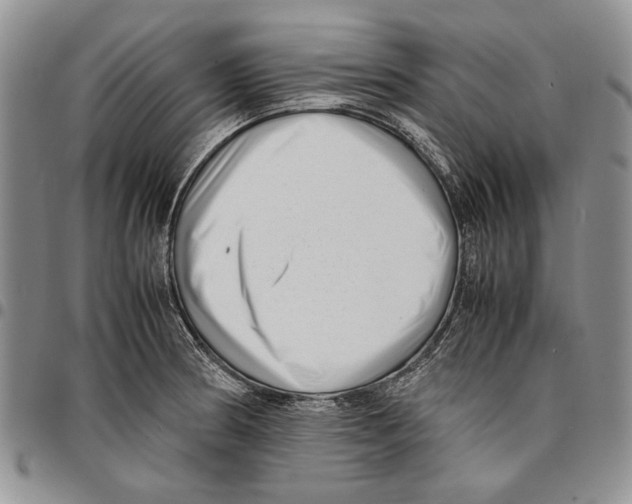 X0000096671186200803041214