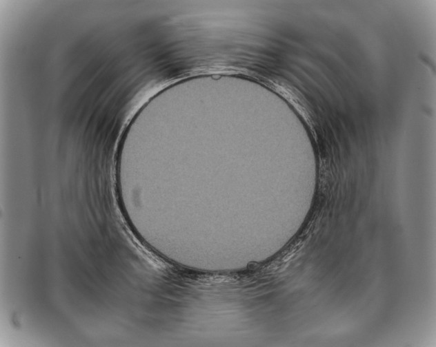 X0000096671187200803041214