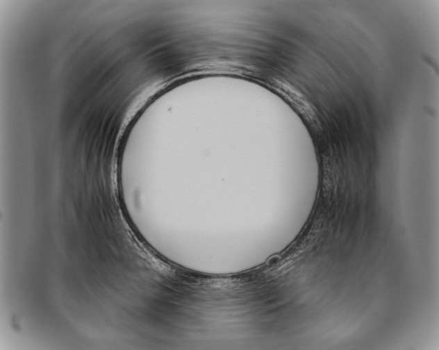 X0000096671188200803041214