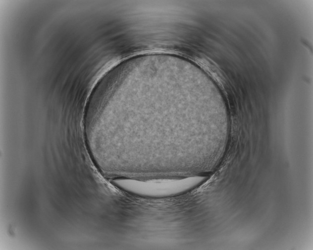 X0000096671189200803041214