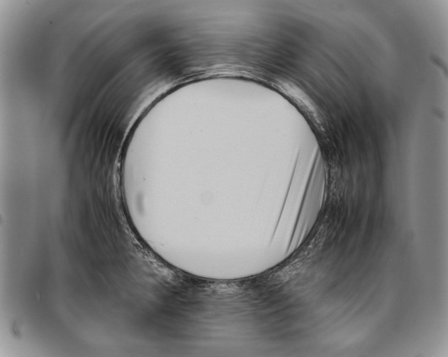 X0000096671190200803041214